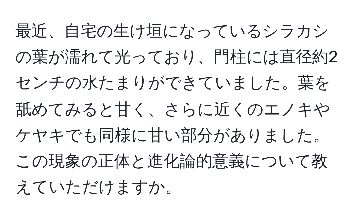 最近、自宅の生け垣になっているシラカシの葉が濡れて光っており、門柱には直径約2センチの水たまりができていました。葉を舐めてみると甘く、さらに近くのエノキやケヤキでも同様に甘い部分がありました。この現象の正体と進化論的意義について教えていただけますか。