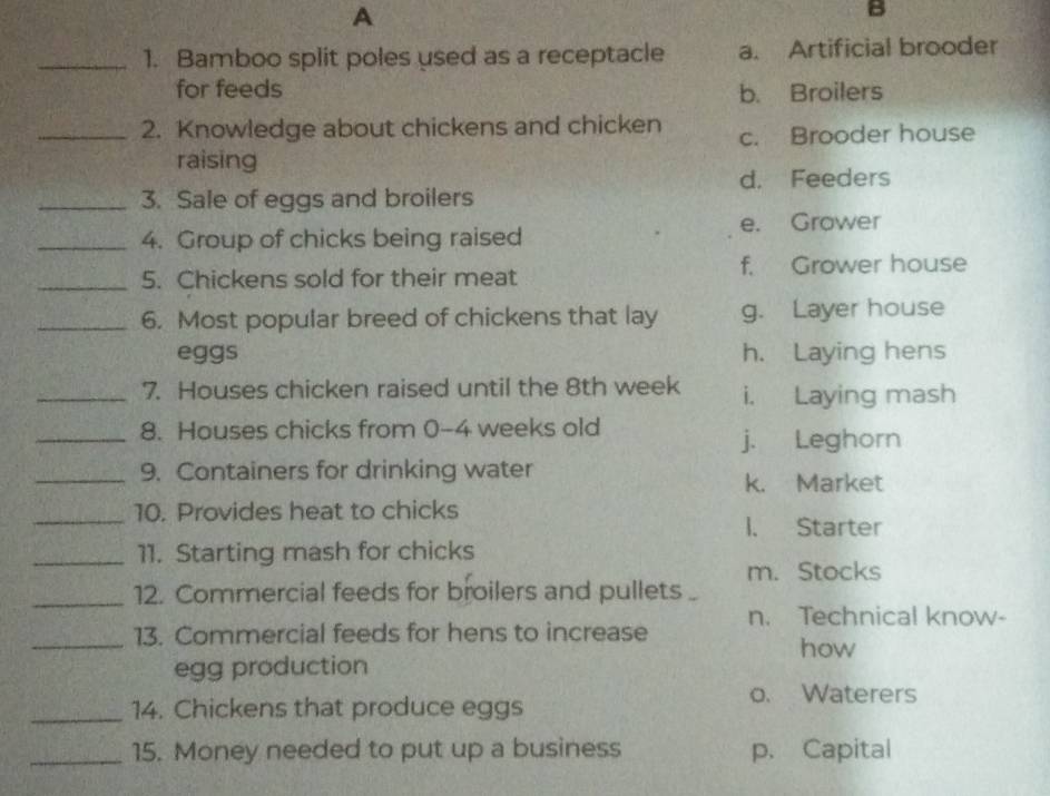 A
B
_1. Bamboo split poles used as a receptacle a. Artificial brooder
for feeds b. Broilers
_2. Knowledge about chickens and chicken c. Brooder house
raising
d. Feeders
_3. Sale of eggs and broilers
_4. Group of chicks being raised e. Grower
f. Grower house
_5. Chickens sold for their meat
_6. Most popular breed of chickens that lay g. Layer house
eggs h. Laying hens
_7. Houses chicken raised until the 8th week i. Laying mash
_8. Houses chicks from 0-4 weeks old
j. Leghorn
_9. Containers for drinking water
k. Market
_10. Provides heat to chicks
1. Starter
_11. Starting mash for chicks
m. Stocks
_12. Commercial feeds for broilers and pullets
n. Technical know-
_
13. Commercial feeds for hens to increase
how
egg production
o. Waterers
_14. Chickens that produce eggs
_15. Money needed to put up a business p. Capital