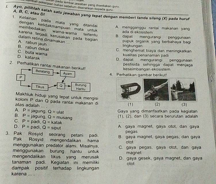 an pada lembar jawaban yang disediakan guru.
Kembali pekerjaan kalian sebelum diserahkan kepada guru
l. Ayo, pilihlah salah satu jawaban yang tepat dengan memberi tanda silang (X) pada huruf A, B, C, atau D!
1. Kelainan pada mata yang ditandai
dengan ketidakmampuan mata untu
A. mengganggu rantai makanan yang
ada di ekosistem
membedakan karena terjadi kerusakan pada bagian
wara-warna tertentu B. dapat mengurangi penggunaan
dalam retina dinamakan ... .
pupuk organik yang berbahaya bagi
A. rabun jauh
lingkungan
B. rabun dekat
C. menghemat biaya dan meningkatkan
C. buta warna
kualitas penanaman padi
D. katarak
D. dapat mengurangi penggunaan
pestisida sehingga dapat menjaga
2. Perhatikan rantai
keseimbangan ekosistem
4. Perhatikan gambar berikut!
Makhluk hidup yang tepat untuk mengisi
kolom P dan Q pada rantai makanan di (1) (2) (3)
atas adalah ... .
A. P= jagung, Q= ulat  Gaya yang dimanfaatkan pada kegiatan
B. P= jagung, Q= musang
(1), (2), dan (3) secara berurutan adalah
C. P= padi, Q= katak
D. P= padi, Q= siput A. gaya magnet, gaya otot, dan gaya
pegas
3. Pak Rosyid seorang petani padi. B. gaya magnet, gaya pegas, dan gaya
Pak Rosyid mengendalikan hama otot
menggunakan predator alami. Misalnya, C. gaya pegas, gaya otot, dan gaya
menggunakan burung hantu untuk magnet
mengendalikan tikus yang merusak D. gaya gesek, gaya magnet, dan gaya
tanaman padi. Kegiatan ini memiliki otot
dampak positif terhadap lingkungan
karena ... .