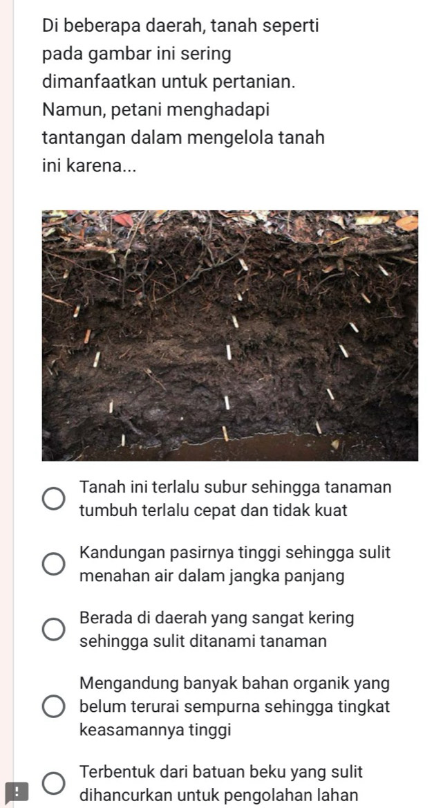 Di beberapa daerah, tanah seperti
pada gambar ini sering
dimanfaatkan untuk pertanian.
Namun, petani menghadapi
tantangan dalam mengelola tanah
ini karena...
Tanah ini terlalu subur sehingga tanaman
tumbuh terlalu cepat dan tidak kuat
Kandungan pasirnya tinggi sehingga sulit
menahan air dalam jangka panjang
Berada di daerah yang sangat kering
sehingga sulit ditanami tanaman
Mengandung banyak bahan organik yang
belum terurai sempurna sehingga tingkat
keasamannya tinggi
Terbentuk dari batuan beku yang sulit
! dihancurkan untuk pengolahan lahan