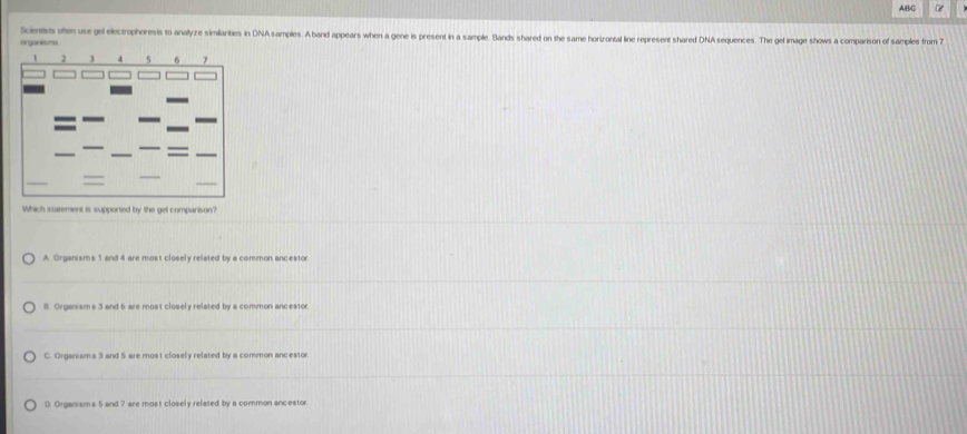 ABC
Sciens ohen use gel electrophoresis to analyze similanities in DNA samples. A band appears when a gene is present in a sample. Bands shared on the same horizontal line represent shared DNAsequences. The gel image shows a comparison of samples from 
organisms.
Which statement is supported by the gel comparison?
A. Organism's 1 and 4 are most closely related by a common ancesto
B. Organisms 3 and 6 are most closely related by a common ancestor
C. Organism's 3 and 5 are most closely related by a common ancestor
0. Organisms 5 and 7 are most closely related by a common ancestor