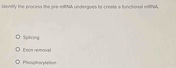 Identify the process the pre-mRNA undergoes to create a functional mRNA.
Splicing
Exon removal
Phosphorylation