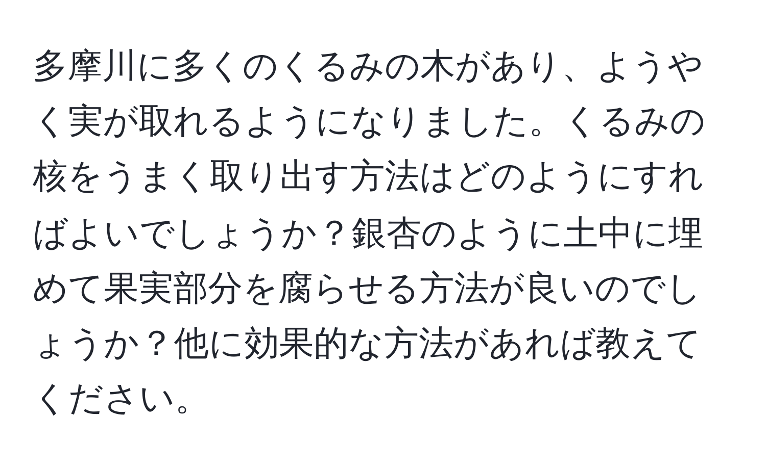 多摩川に多くのくるみの木があり、ようやく実が取れるようになりました。くるみの核をうまく取り出す方法はどのようにすればよいでしょうか？銀杏のように土中に埋めて果実部分を腐らせる方法が良いのでしょうか？他に効果的な方法があれば教えてください。