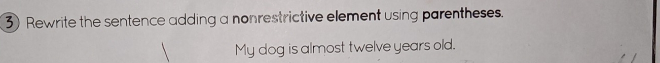 Rewrite the sentence adding a nonrestrictive element using parentheses. 
My dog is almost twelve years old.