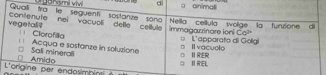 organismi vívi di animali
Quali tra le seguenti sostanze sono
contenute nei vacuoli delle cellule Nella cellula svolge la funzione di
vegetali? immagazzinare ioni Ca^(2+)
Clorofilla L'apparato di Golgi
Acqua e sostanze in soluzione Il vacuolo
Sali minerali
ⅡRER
Amido
ⅡREL
L'origine per endosimbinsi