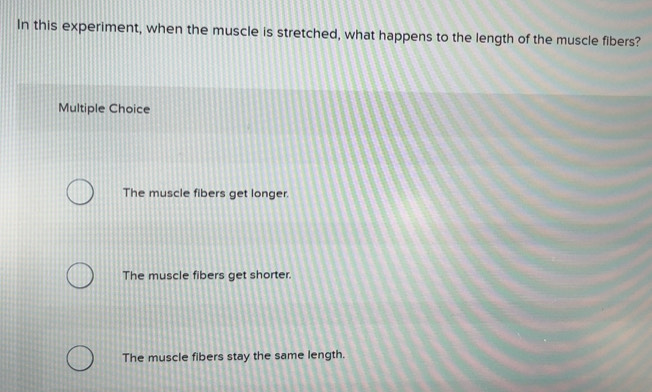 Solved: In this experiment, when the muscle is stretched, what happens ...