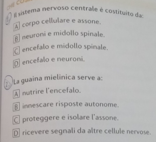 CHE CU
Il sistema nervoso centrale è costituito da:
A corpo cellulare e assone.
neuroni e midollo spinale.
C encefalo e midollo spinale.
D encefalo e neuroni.
La guaina mielinica serve a:
A nutrire l'encefalo.
B innescare risposte autonome.
₹ proteggere e isolare l’assone.
D ricevere segnali da altre cellule nervose.