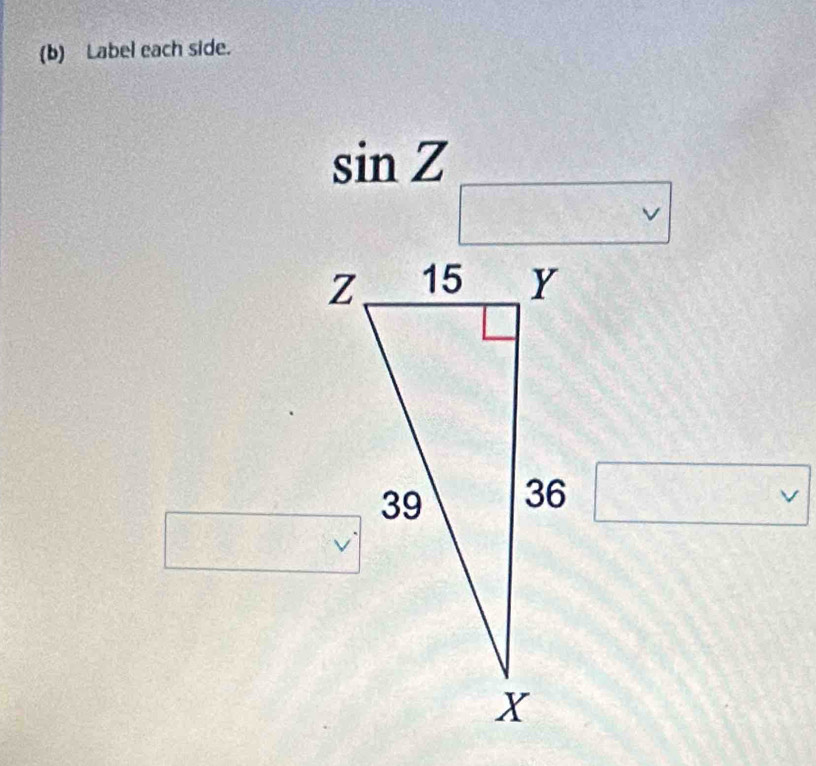 Label each side.
sin Z
v