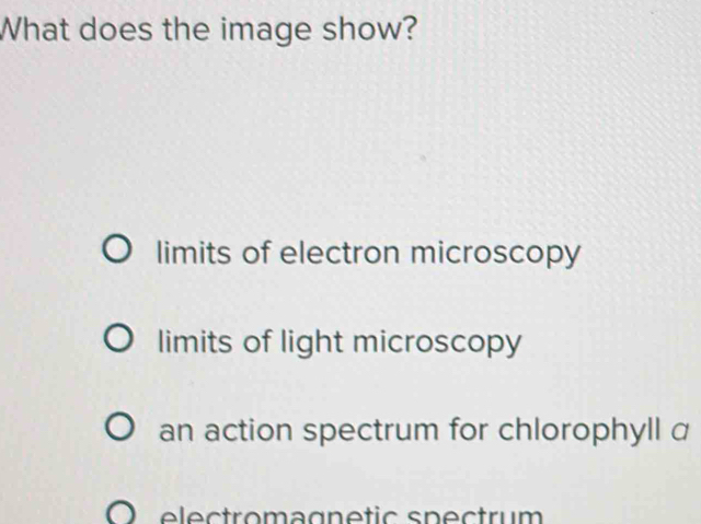 What does the image show?
limits of electron microscopy
limits of light microscopy
an action spectrum for chlorophyll α
e ectromag netic spectrum