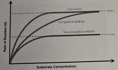 x
Substrate Concen