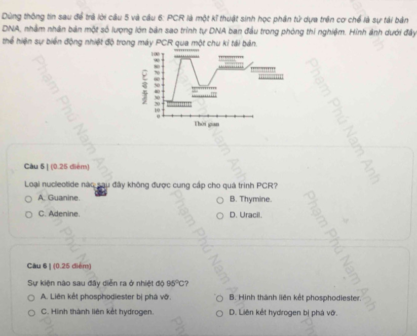 Dùng thông tin sau để trả lời câu 5 và câu 6: PCR là một kĩ thuật sinh học phân tử dựa trên cơ chế là sự tái bản
DNA, nhằm nhân bản một số lượng lớn bản sao trình tự DNA ban đầu trong phòng thí nghiệm. Hình ảnh dưới đây
thể hiện sự biển động nhiệt độ trong máy PCR qua một chu kỉ tái bản.
Câu 5 | (0.25 điểm)
Loại nucleotide nàc sau đây không được cung cấp cho quả trình PCR?
A. Guanine. B. Thymine.
C. Adenine. D. Uracil.
Câu 6 | (0.25 điểm)
Sự kiện nào sau đây diễn ra ở nhiệt độ 95°C ?
A. Liên kết phosphodiester bị phá vỡ. B. Hinh thành liên kết phosphodiester.
C. Hinh thành liên kết hydrogen. D. Liên kết hydrogen bị phá vỡ.