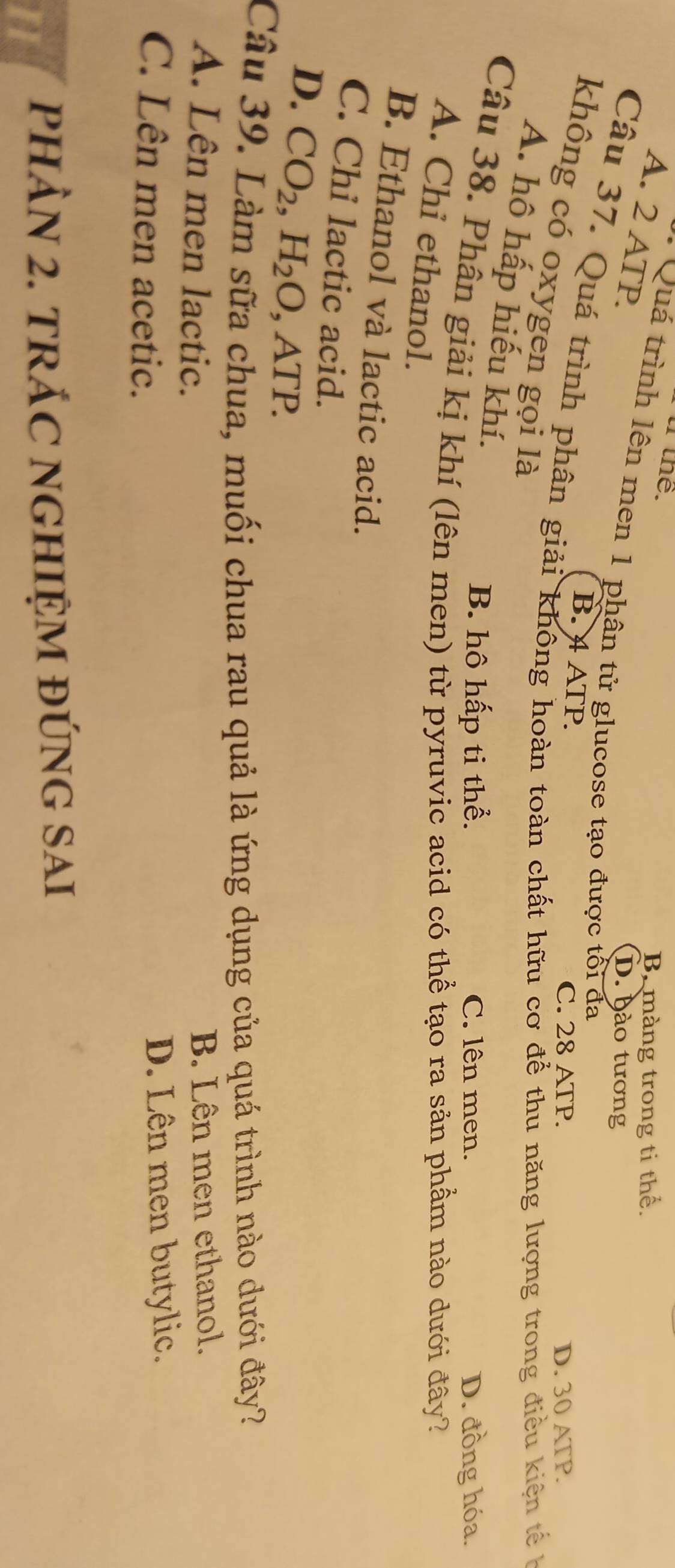thể.
B. màng trong ti thể.
A. 2 ATP.
* Quá trình lên men 1 phân tử glucose tạo được tổi đa
D. hào tương
B. 4ATP.
Câu 37. Quá trình phân giải không hoàn toàn chất hữu cơ để thu năng lượng trong điều kiện tế
C. 28 ATP. D. 30 ATP.
không có oxygen gọi là
A. hô hấp hiếu khí.
B. hô hấp ti thể. C. lên men. D. đồng hóa.
Câu 38. Phân giải kị khí (lên men) từ pyruvic acid có thể tạo ra sản phẩm nào dưới đây?
A. Chỉ ethanol.
B. Ethanol và lactic acid.
C. Chỉ lactic acid.
D. CO_2, H_2O, ATP. 
Câu 39. Làm sữa chua, muối chua rau quả là ứng dụng của quá trình nào dưới đây?
A. Lên men lactic.
B. Lên men ethanol.
C. Lên men acetic. D. Lên men butylic.
II PHÂN 2. TRÁC NGHIỆM ĐÚNG SAI