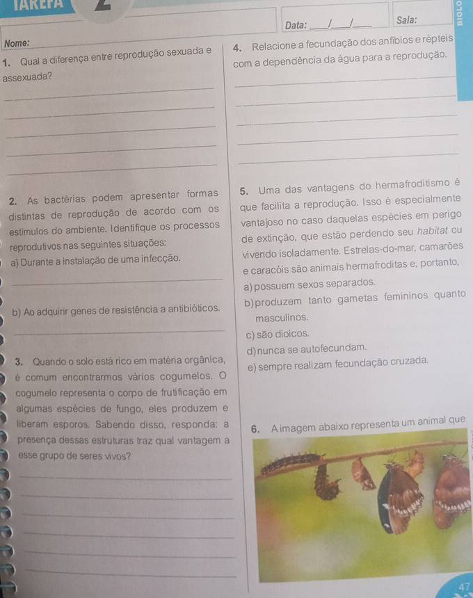 TAREPA
Data: _|_ /_ Sala:
Nome:
4. Relacione a fecundação dos anfíbios e répteis
1. Qual a diferença entre reprodução sexuada e com a dependência da água para a reprodução.
_
_
assexuada?
_
_
_
_
_
_
_
_
2. As bactérias podem apresentar formas 5. Uma das vantagens do hermafroditismo é
distintas de reprodução de acordo com os que facilita a reprodução. Isso é especialmente
estimulos do ambiente. Identifique os processos vantajoso no caso daquelas espécies em perigo
reprodutivos nas seguintes situações: de extinção, que estão perdendo seu habitat ou
a) Durante a instalação de uma infecção. vivendo isoladamente. Estrelas-do-mar, camarões.
_
e caracóis são animais hermafroditas e, portanto,
a) possuem sexos separados.
b) Ao adquirir genes de resistência a antibióticos. b)produzem tanto gametas femininos quanto
masculinos.
_
c) são dioicos.
3. Quando o solo está rico em matêria orgânica, d)nunca se autofecundam.
é comum encontrarmos vários cogumelos. O e) sempre realizam fecundação cruzada.
cogumelo representa o corpo de frutificação em
algumas espêcies de fungo, eles produzem e
liberam esporos. Sabendo disso, responda: a
6. Aimagem abaixo representa um animal que
presença dessas estruturas traz qual vantagem a
esse grupo de seres vivos?
_
_
_
_
_
_