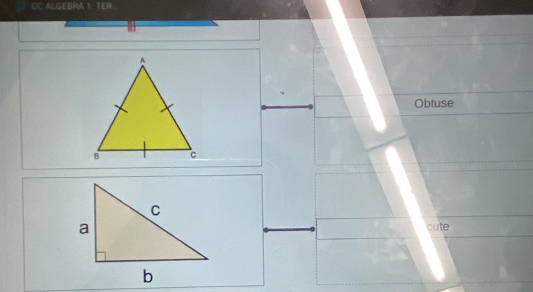 CC ALGEBRA 1: TER. 
Obtuse 
cute