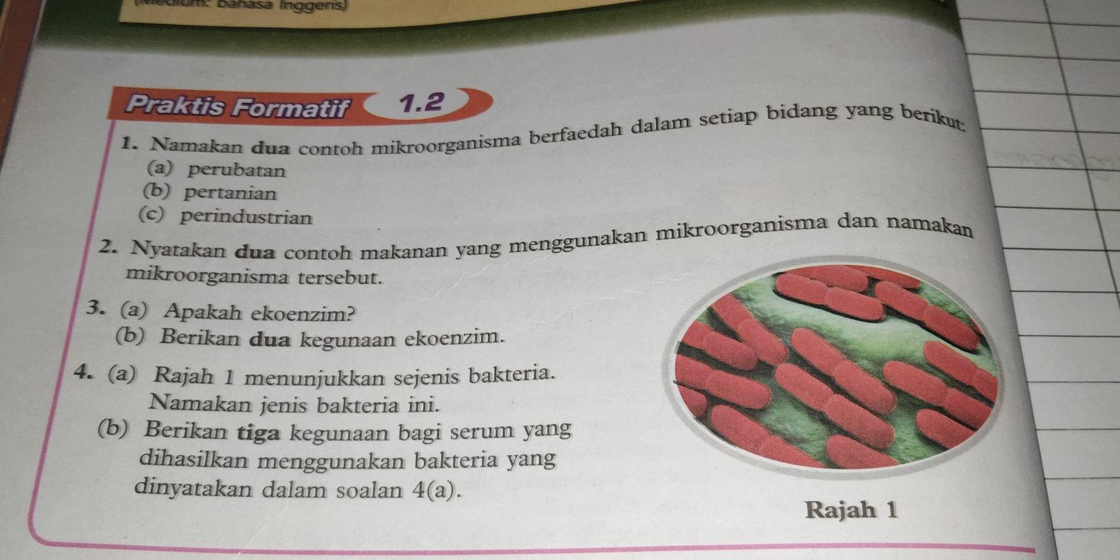 bium: bahasa Inggers) 
Praktis Formatif 1.2 
1. Namakan dua contoh mikroorganisma berfaedah dalam setiap bidang yang berikut; 
(a) perubatan 
(b) pertanian 
(c) perindustrian 
2. Nyatakan dua contoh makanan yang menggunakan mikroorganisma dan namakan 
mikroorganisma tersebut. 
3. (a) Apakah ekoenzim? 
(b) Berikan dua kegunaan ekoenzim. 
4. (a) Rajah 1 menunjukkan sejenis bakteria. 
Namakan jenis bakteria ini. 
(b) Berikan tiga kegunaan bagi serum yang 
dihasilkan menggunakan bakteria yang 
dinyatakan dalam soalan . 4(a ). 
Rajah 1