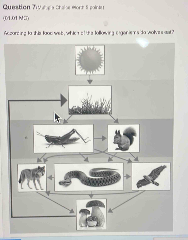 Question 7(Multiple Choice Worth 5 points) 
(01.01 MC) 
According to this food web, which of the following organisms do wolves eat? 
&