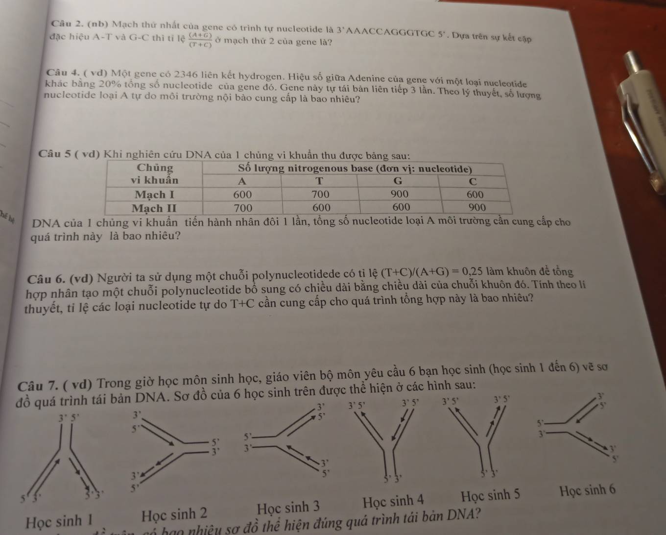 (nb) Mạch thứ nhất của gene có trình tự nucleotide là 3^(·) AAACCAGGGTGC 5°. Dựa trên sự kết cập
đặc hiệu A-1 và G-C thì tỉ lệ  ((A+G))/(T+C)  ở mạch thứ 2 của gene là?
Câu 4. ( vd) Một gene có 2346 liên kết hydrogen. Hiệu số giữa Adenine của gene với một loại nucleotide
khác bằng 20% tổng số nucleotide của gene đó. Gene này tự tái bản liên tiếp 3 lần. Theo lý thuyết, số lượng
nucleotide loại A tự do môi trường nội bào cung cấp là bao nhiêu?
_
Câu 5 ( vd) Khi nghiên cứu DNA của 1 chủng vi
hể hệ DNA của 1 chủng vi khuẩn tiến hành nhân đôi 1 lần, tổng số nucleotide loại A môi trường cần cung cấp cho
quá trình này là bao nhiêu?
Câu 6. (vd) Người ta sử dụng một chuỗi polynucleotidede có tỉ lệ (T+C)/(A+G)=0,25 làm khuôn để tổng
hợp nhân tạo một chuỗi polynucleotide bổ sung có chiều dài bằng chiều dài của chuỗi khuôn đó. Tính theo lí
thuyết, ti lệ các loại nucleotide tự do T+C cần cung cấp cho quá trình tổng hợp này là bao nhiêu?
Câu 7. ( vd) Trong giờ học môn sinh học, giáo viên bộ môn yêu cầu 6 bạn học sinh (học sinh 1 den6) vẽ sơ
đồ quá trình tái bản DNA. Sơ đồ của 6 học sinh trên được thể hiện ở các hình sau:
Học sinh 1  Học s inh2 Học sinh 3 Học sinh 4 Học sinh 5 Học sinh 6
ó bạo nhiệy sơ đồ thể hiện đúng quá trình tái bản DNA?