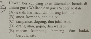 Hewan berikut yang akan ditemukan berada di
King antara garis Wallace dan garis Weber adalah
(A) gajah, harimau, dan burung kakatua.
(B) anoa, komodo, dan maleo.
(C) simpanse, dugong, dan jalak bali.
(D) orang utan, gajah, dan wallabi.
(E) macan kumbang, banteng, dan badak
bercula satu.