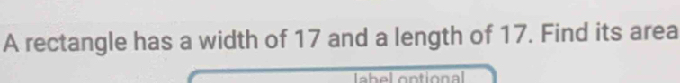 A rectangle has a width of 17 and a length of 17. Find its area 
lahel ontional