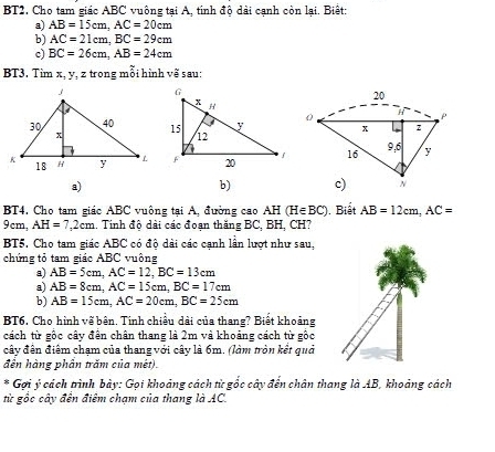 BT2, Cho tam giác ABC vuông tại A, tinh độ dài cạnh còn lại. Biết: 
a) AB=15cm, AC=20cm
b) AC=21cm, BC=29cm
c) BC=26cm, AB=24cm
BT3. Tim x, y, z trong mỗi hình vẽ sau: 

a) 
b) 
BT4, Cho tam giác ABC vuông tại A, đường cao AH (H∈ BC). Biết AB=12cm, AC=
9 cm, AH=7, 2cm.. Tinh độ dài các đoạn thăng BC, BH, CH? 
BT5. Cho tam giác ABC có độ dài các cạnh lần lượt như sau, 
chứng tỏ tam giác ABC vuông 
a) AB=5cm, AC=12, BC=13cm
a) AB=8cm, AC=15cm, BC=17cm
b) AB=15cm, AC=20cm, BC=25cm
BT6, Cho hình về bên. Tinh chiều dài của thang? Biết khoảng 
cách từ gốc cây đến chân thang là 2m và khoảng cách từ gốc 
đây đến điệm chạm của thang với cây là 6m. (làm tròn kết quả 
đến hàng phần trăm của mét). 
* Gợi ý cách trình bảy: Gọi khoảng cách từ gốc cây đến chân thang là AB, khoảng cách 
từ gốc cây đến điểm chạm của thang là AC.