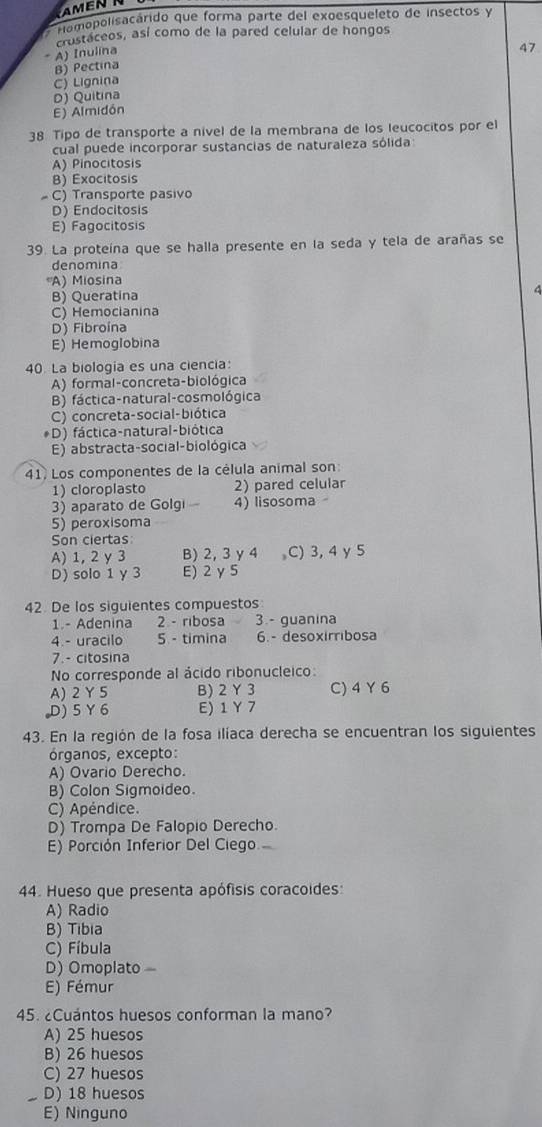 AMEN
romopolisacárido que forma parte del exoesqueleto de insectos y
crustaceos, así como de la pared celular de hongos
A) Inulina
47
B) Pectina
C) Lignina
D) Quitina
E) Almidón
38 Tipo de transporte a nível de la membrana de los leucocitos por el
cual puede incorporar sustancias de naturaleza sólida
A) Pinocitosis
B) Exocitosis
C) Transporte pasivo
D) Endocitosis
E) Fagocitosis
39. La proteína que se halla presente en la seda y tela de arañas se
denomina
*A) Miosina
B) Queratina
4
C) Hemocianina
D) Fibroína
E) Hemoglobina
40. La biologia es una ciencia:
A) formal-concreta-biológica
B) fáctica-natural-cosmológica
C) concreta-social-biótica
*D) fáctica-natural-biótica
E) abstracta-social-biológica
41. Los componentes de la célula animal son:
1) cloroplasto 2) pared celular
3) aparato de Golgi - 4) lisosoma
5) peroxisoma
Son ciertas
A) 1, 2 y3 B) 2, 3 y 4 C) 3, 4 y 5
D) solo 1 y 3 E) 2 γ 5
42 De los siguientes compuestos
1.- Adenina 2 - ribosa 3 - guanina
4 - uracilo 5 - timina 6.- desoxirribosa
7.- citosina
No corresponde al ácido ribonucleico:
A) 2 Y 5 B) 2 Y3 C) 4 Y 6
D) 5 Y 6 E) 1 Y 7
43. En la región de la fosa ilíaca derecha se encuentran los siguientes
órganos, excepto:
A) Ovario Derecho.
B) Colon Sigmoideo.
C) Apéndice.
D) Trompa De Falopio Derecho.
E) Porción Inferior Del Ciego
44. Hueso que presenta apófisis coracoides:
A) Radio
B) Tibia
C) Fíbula
D) Omoplato 
E) Fémur
45. ¿Cuántos huesos conforman la mano?
A) 25 huesos
B) 26 huesos
C) 27 huesos
D) 18 huesos
E) Ninguno