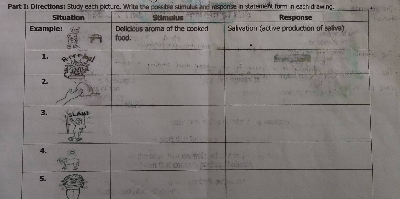 Directions: Study each picture. Write the possible stimulus and response in statement form in each drawing.