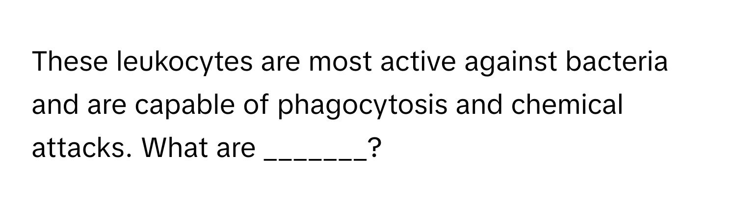 These leukocytes are most active against bacteria and are capable of phagocytosis and chemical attacks. What are _______?