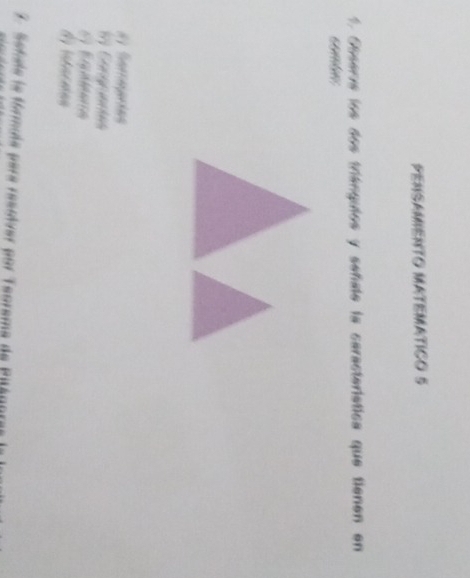 PENSAMENTO MATEMATICO 5
1. Obserís los dos triánquios y señale la característica que tienen en
combe
# Sereprías
19 Cangrüades
A istarmea
3. Sehule la fórmuls para resolver por Teorama de Pilágor