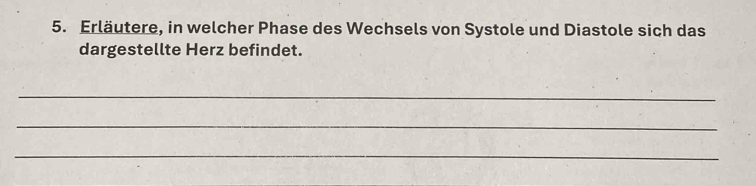 Erläutere, in welcher Phase des Wechsels von Systole und Diastole sich das 
dargestellte Herz befindet. 
_ 
_ 
_