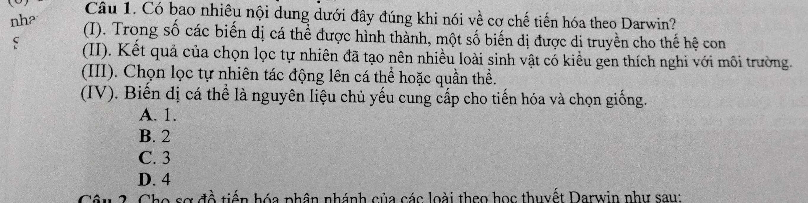 Có bao nhiêu nội dung dưới đây đúng khi nói về cơ chế tiến hóa theo Darwin?
nh?
(I). Trong số các biến dị cá thể được hình thành, một số biến dị được dị truyền cho thế hệ con
(II). Kết quả của chọn lọc tự nhiên đã tạo nên nhiều loài sinh vật có kiểu gen thích nghi với môi trường.
(III). Chọn lọc tự nhiên tác động lên cá thể hoặc quần thể.
(IV). Biến dị cá thể là nguyên liệu chủ yếu cung cấp cho tiến hóa và chọn giống.
A. 1.
B. 2
C. 3
D. 4
Câu 2. Cho sơ đồ tiến hóa phân nhánh của các loài theo học thuyết Darwin như sau: