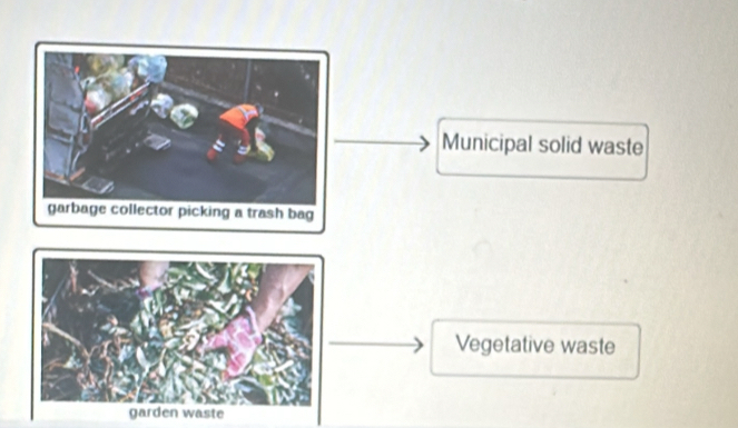 Municipal solid waste 
Vegetative waste