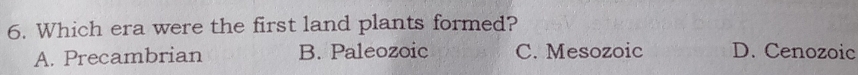 Which era were the first land plants formed?
A. Precambrian B. Paleozoic C. Mesozoic D. Cenozoic