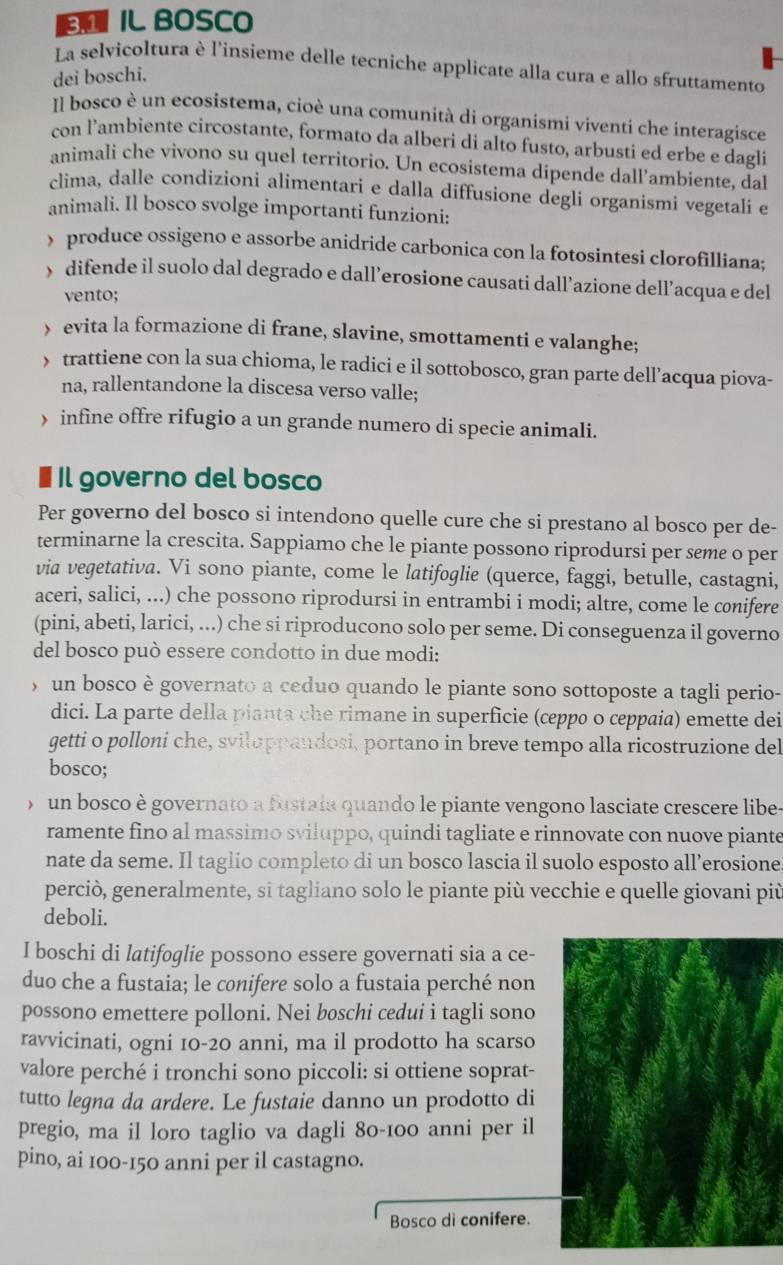 IL BOSCO
La selvicoltura è l'insieme delle tecniche applicate alla cura e allo sfruttamento
dei boschi.
Il bosco è un ecosistema, cioè una comunità di organismi viventi che interagisce
con l’ambiente circostante, formato da alberi di alto fusto, arbusti ed erbe e dagli
animali che vivono su quel territorio. Un ecosistema dipende dall’ambiente, dal
clima, dalle condizioni alimentari e dalla diffusione degli organismi vegetali e
animali. Il bosco svolge importanti funzioni:
y produce ossigeno e assorbe anidride carbonica con la fotosintesi clorofilliana;
y difende il suolo dal degrado e dall’erosione causati dall’azione dell’acqua e del
vento;
) evita la formazione di frane, slavine, smottamenti e valanghe;
y trattiene con la sua chioma, le radici e il sottobosco, gran parte dell’acqua piova-
na, rallentandone la discesa verso valle;
) infine offre rifugio a un grande numero di specie animali.
Il governo del bosco
Per governo del bosco si intendono quelle cure che si prestano al bosco per de-
terminarne la crescita. Sappiamo che le piante possono riprodursi per seme o per
via vegetativa. Vi sono piante, come le latifoglie (querce, faggi, betulle, castagni,
aceri, salici, ...) che possono riprodursi in entrambi i modi; altre, come le conifere
(pini, abeti, larici, ...) che si riproducono solo per seme. Di conseguenza il governo
del bosco può essere condotto in due modi:
,  un bosco è governato a ceduo quando le piante sono sottoposte a tagli perio-
dici. La parte della pianta che rimane in superficie (ceppo o ceppaia) emette dei
getti o polloni che, sviluppaudosi, portano in breve tempo alla ricostruzione del
bosco;
y un bosco è governato a fustaia quando le piante vengono lasciate crescere libe-
ramente fino al massimo sviluppo, quindi tagliate e rinnovate con nuove piante
nate da seme. Il taglio completo di un bosco lascia il suolo esposto all’erosione
perciò, generalmente, si tagliano solo le piante più vecchie e quelle giovani più
deboli.
I boschi di latifoglie possono essere governati sia a ce-
duo che a fustaia; le conifere solo a fustaia perché non
possono emettere polloni. Nei boschi cedui i tagli sono
ravvicinati, ogni 10-20 anni, ma il prodotto ha scarso
valore perché i tronchi sono piccoli: si ottiene soprat-
tutto legna da ardere. Le fustaie danno un prodotto di
pregio, ma il loro taglio va dagli 80-100 anni per il
pino, ai 100-150 anni per il castagno.
Bosco di conifere.