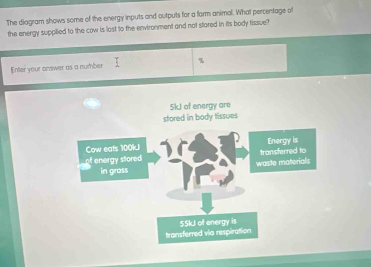 The diagram shows some of the energy inputs and outputs for a farm animal. What percentage of 
the energy supplied to the cow is lost to the environment and not stored in its body tissue? 
Enter your answer as a number %