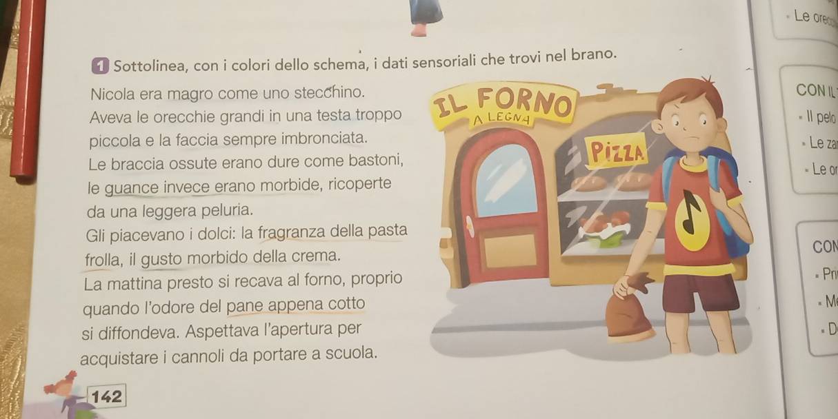 Le orec 
1 Sottolinea, con i colori dello schema, i dati sensoriali che trovi nel brano. 
Nicola era magro come uno stecchino. 
CONIL 
Aveva le orecchie grandi in una testa troppoIl pelo 
piccola e la faccia sempre imbronciata. 
Le za 
Le braccia ossute erano dure come bastoni,Le or 
le guance invece erano morbide, ricoperte 
da una leggera peluria. 
Gli piacevano i dolci: la fragranza della pasta 
CON 
frolla, il gusto morbido della crema. 
La mattina presto si recava al forno, proprio 
Pr 
quando l’odore del pane appena cotto 
M 
si diffondeva. Aspettava l’apertura perD 
acquistare i cannoli da portare a scuola. 
142