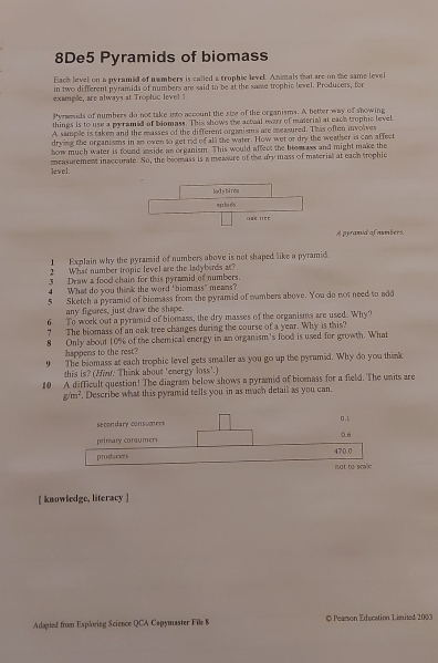 8De5 Pyramids of biomass
Bach level on a pyramid of numbers is called a trophic level. Anmals that are on the same level
in two different pyramids of numbers are said to be at the same trophic level. Producers, for
example, are always at Trophic level 1
Pyrwmids of numbers do not take into account the size of the organisms. A better way of showing
things is to use a pyramed of biomass. This shows the actual earr of material at eack trophic level
A sample is taken and the masses of the different organisms are measured. This often involves
drying the organisms in an oven to get rid of all the water. How wet or dry the weather is can affect
how much water is found snside an organism. This would affect the blomass and might make the
level. measurement inaccunle. So, the biomass is a measure of the dry mass of material at each trophic
lád pbì rán
sphi és
dak nee
A pyramia af nmbers.
I Explain why the pyramid of numbers above is not shaped like a pyramid.
2 What number tropic level are the ladybards at?
3 Draw a food chain for this pyramid of numbers.
4 What do you think the word " biomass" means?
5 Sketch a pyramid of biomass from the pyramid of numbers above. You do not need to add
any figures, just draw the shape.
6 To work out a pyramid of biomass, the dry masses of the organisms are used. Why?
? The biomass of an eak tree changes during the course of a year. Why is this?
8 Only about 10% of the chemical energy in an organism's food is used for growth. What
happens to the rest?
9 The biomass at each trophic level gets smaller as you go up the pyramid. Why do you think
this is? (Hin: Think about 'energy loss'.)
10 A difficult question! The diagram below shows a pyramid of biomass for a field. The units are
g/m^2. Describe what this pyramid tells you in as much detail as you can.
secondary consumers . L
primary consumers 0.6
prodacers 470.0
not to scale
[ knowledge, literacy ]
Adapted from Exploring Science QCA Capymaster File $ © Pearson Education Limited 2003