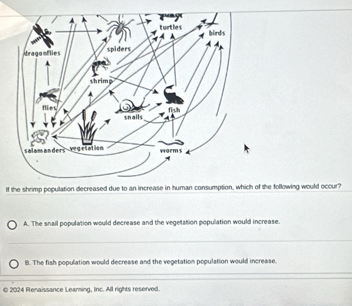 If the shrimp population decreased due to an increase in human consumption, which of the following would occur?
A. The snail population would decrease and the vegetation population would increase.
B. The fish population would decrease and the vegetation population would increase.
© 2024 Renaissance Learning, Inc. All rights reserved.