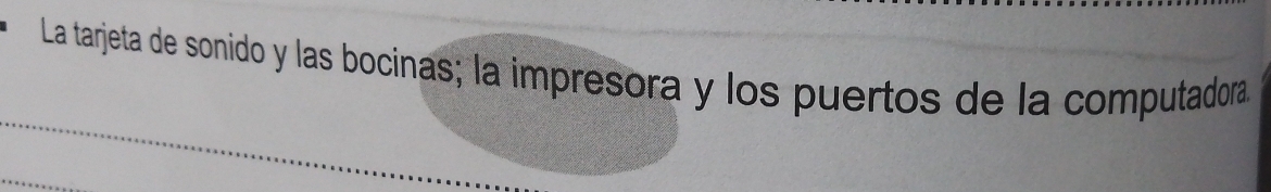 La tarjeta de sonido y las bocinas; la impresora y los puertos de la computadora