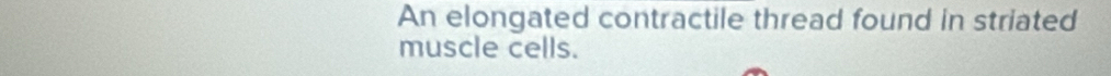 An elongated contractile thread found in striated 
muscle cells.