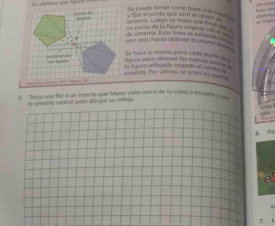 Se obtiene una figura inv 
Centro de Un cua 
hay án 
Se puede tomar como base una cuadrícula 
simetria 
y fijar el punto que será el centro de 
abertur 
el trans 
simetría. Luego se traza una línea que une 
un punto de la figura original con el centró 
de simetría. Esta línea se extien de had 
otro lado hasta obtener la misma distande 
Las distancias 
Se hace lo mismo para cada punto dela 
son iguales figura para obtener los nuevos puntos de 
la figura reflejada respeto al centro de 
simetría. Por último, se unen los puntos 
Nuestros saberes, SEP, Página: 96 
5. Traza una flor o un insecto que hayas visto cerca de tu casa o escuela y usa 
la simetría central para dibujar su reflejo. 
Una f 
ejes c 
Nuestr 
6. Ro
a
7. N