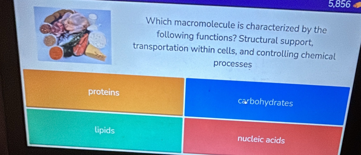 5,856
Which macromolecule is characterized by the
following functions? Structural support,
transportation within cells, and controlling chemical
processes
proteins carbohydrates
lipids nucleic acids