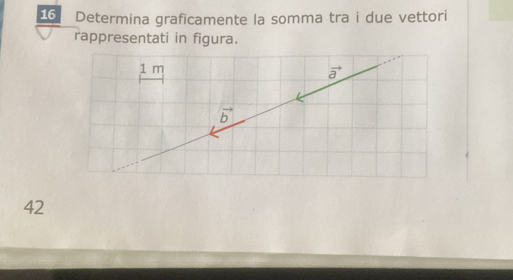 Determina graficamente la somma tra i due vettori
rappresentati in figura.
42