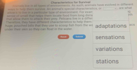 Characteristics for Survival 
Animals live in all types of environments. As such, animals have evolved in different 
ways to help them survive. An animal's special characteristics, or 
allow it to live in a particular type of environment. For exan . are what 
sense of smeli that helps them locate food from long dista 2th
that allow them to attack their prey. Pelicans live in a differ 
Therefore, they have different characteristics to help them 
huge, pouched bills that they use to scoop fish from the wa adaptations acs 
under their skin so they can float in the water. 
Reset Submit sensations 
variations 
stations