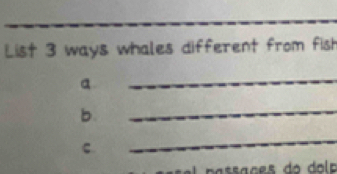 List 3 ways whales different from fish 
a 
_ 
b. 
_ 
c 
_