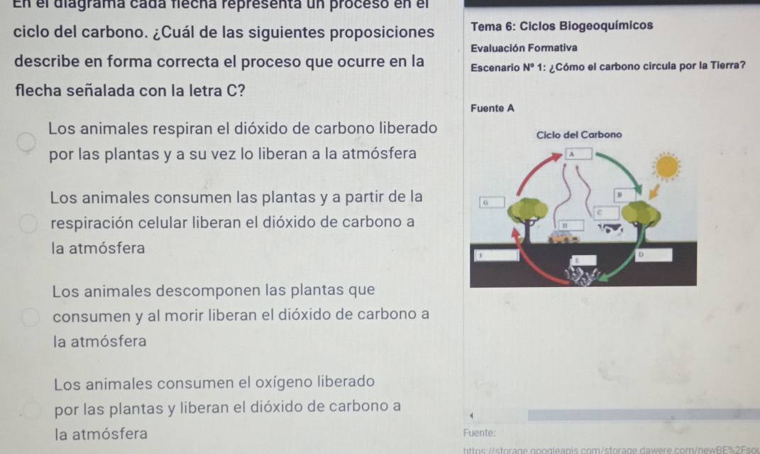 En el diagrama cada fiécha representa un proceso en el
ciclo del carbono. ¿Cuál de las siguientes proposiciones Tema 6: Ciclos Biogeoquímicos
Evaluación Formativa
describe en forma correcta el proceso que ocurre en la Escenario N° 1: ¿Cómo el carbono circula por la Tierra?
flecha señalada con la letra C?
Fuente A
Los animales respiran el dióxido de carbono liberado
por las plantas y a su vez lo liberan a la atmósfera
Los animales consumen las plantas y a partir de la 
respiración celular liberan el dióxido de carbono a
la atmósfera
Los animales descomponen las plantas que
consumen y al morir liberan el dióxido de carbono a
la atmósfera
Los animales consumen el oxígeno liberado
por las plantas y liberan el dióxido de carbono a
4
la atmósfera Fuente:
https torage googleanis com/storage daw ere com/newBE % 2 F s o