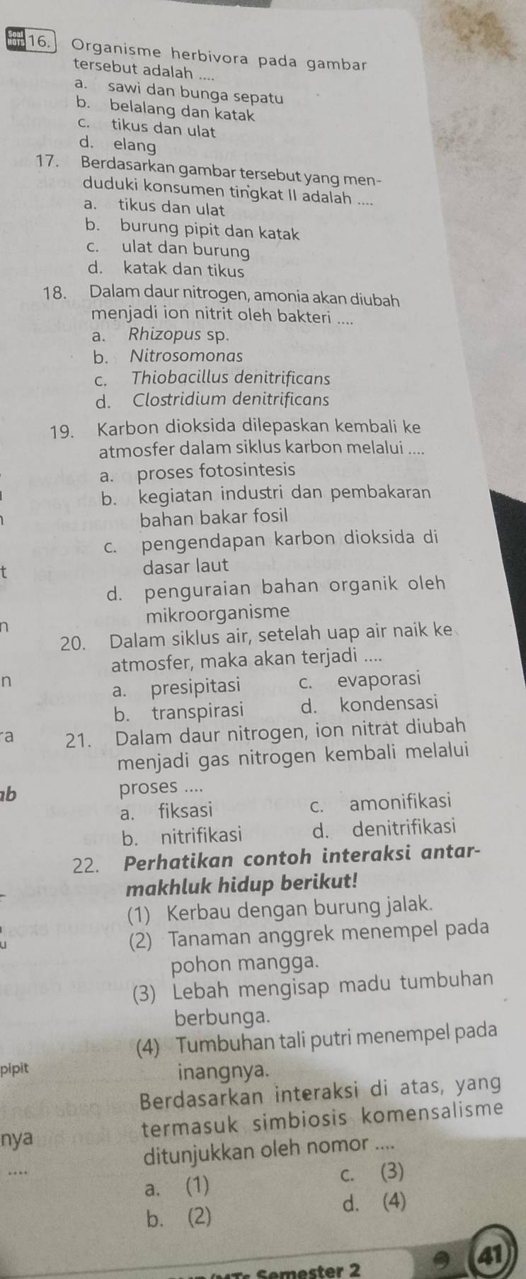 Organisme herbivora pada gambar
tersebut adalah ...
a. sawi dan bunga sepatu
b. belalang dan katak
c. tikus dan ulat
d. elang
17. Berdasarkan gambar tersebut yang men-
duduki konsumen tingkat II adalah ....
a. tikus dan ulat
b. burung pipit dan katak
c. ulat dan burung
d. katak dan tikus
18. Dalam daur nitrogen, amonia akan diubah
menjadi ion nitrit oleh bakteri ....
a. Rhizopus sp.
b. Nitrosomonas
c. Thiobacillus denitrificans
d. Clostridium denitrificans
19. Karbon dioksida dilepaskan kembali ke
atmosfer dalam siklus karbon melalui ...
a. proses fotosintesis
b. kegiatan industri dan pembakaran
bahan bakar fosil
c. pengendapan karbon dioksida di
dasar laut
d. penguraian bahan organik oleh
n
mikroorganisme
20. Dalam siklus air, setelah uap air naik ke
atmosfer, maka akan terjadi ....
n c. evaporasi
a. presipitasi
b. transpirasi d. kondensasi
a 21. Dalam daur nitrogen, ion niträt diubah
menjadi gas nitrogen kembali melalui
b proses ....
a. fiksasi c. amonifikasi
b. nitrifikasi d. denitrifikasi
22. Perhatikan contoh interaksi antar-
makhluk hidup berikut!
(1) Kerbau dengan burung jalak.
(2) Tanaman anggrek menempel pada
pohon mangga.
(3) Lebah mengisap madu tumbuhan
berbunga.
(4) Tumbuhan tali putri menempel pada
pipit inangnya.
Berdasarkan interaksi di atas, yang
nya termasuk simbiosis komensalisme
ditunjukkan oleh nomor ....
….
c. (3)
a. (1)
d. (4)
b. (2)
mester 2
41