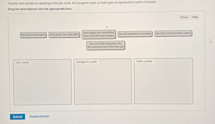 Classify each phrase as applying to the lytic cycle, the lysogenic cycle, or both types of reproductive cycles of phages.
Drag the descriptions into the appropriate bins.
Reset Help
the host is destroyed viral genes are replicated new phages are assembled from viral DNA and proteins the cell reproduces normally the cell is lysed (broken open)
the viral DNA integrates into
the chromosame of the host cell
lytic cycle lysogenic cycle both cycles
Submit Request Answer