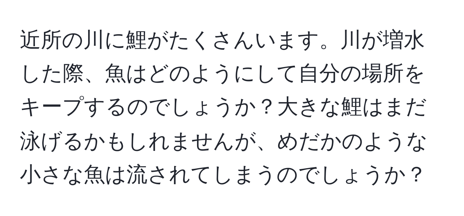 近所の川に鯉がたくさんいます。川が増水した際、魚はどのようにして自分の場所をキープするのでしょうか？大きな鯉はまだ泳げるかもしれませんが、めだかのような小さな魚は流されてしまうのでしょうか？