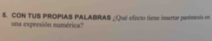 CON TUS PROPIAS PALABRAS ¿Qué efecto tiene insertar paréntesis en 
una expresión numérica?