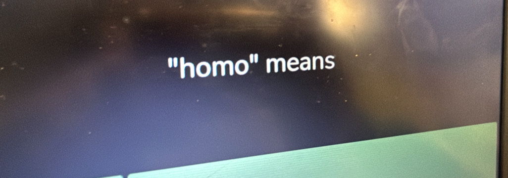 ''homo' means